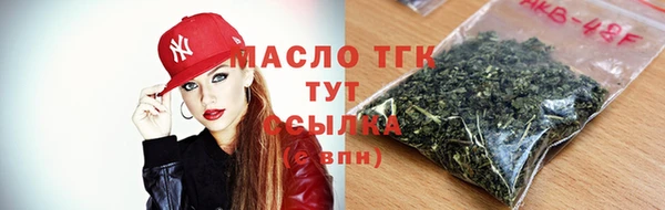 соль ск Новозыбков