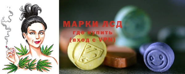 стаф Нея