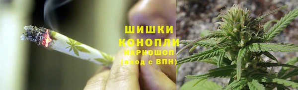 соль ск Новозыбков
