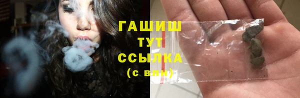 соль ск Новозыбков