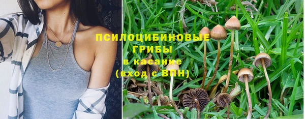 каннабис Сураж