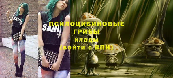 винт Покачи