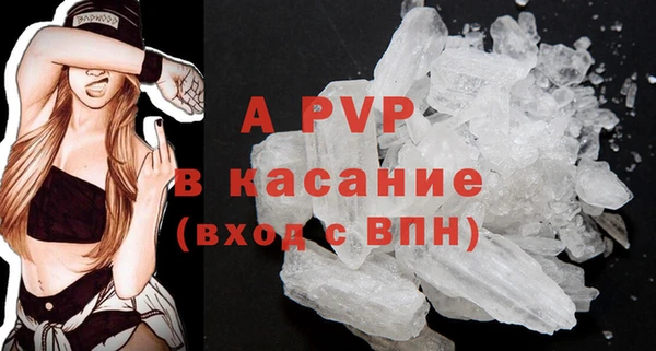 стаф Нея