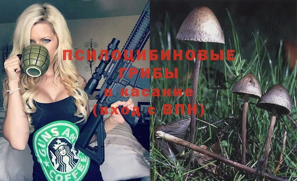 мдпв Новодвинск