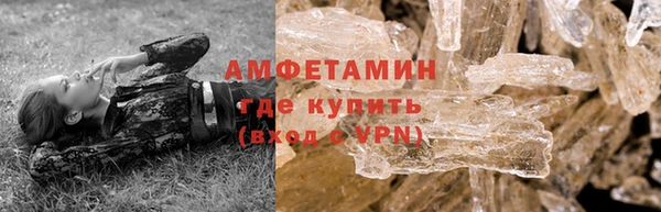 соль ск Новозыбков