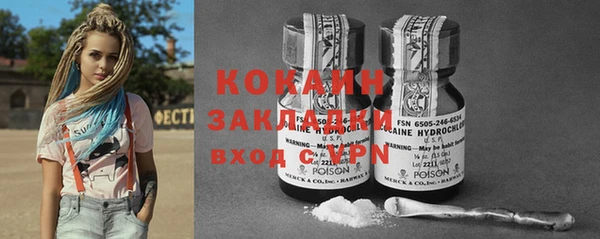соль ск Новозыбков