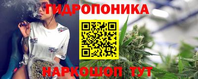 прущие грибы Будённовск