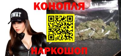 прущие грибы Будённовск