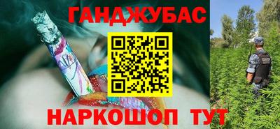 прущие грибы Будённовск