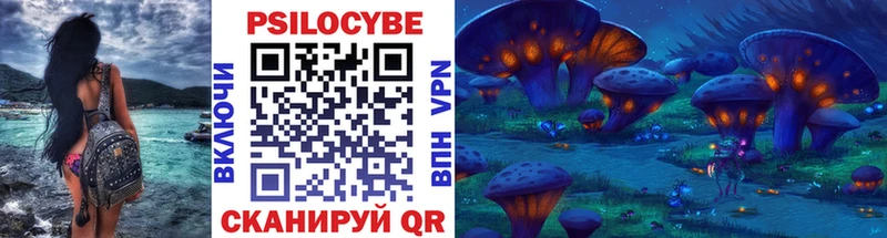 Псилоцибиновые грибы Psilocybine cubensis Таганрог