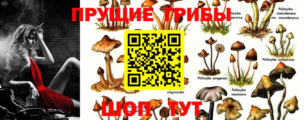 Псилоцибиновые грибы MAGIC MUSHROOMS Таганрог