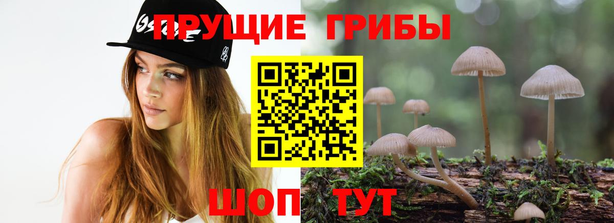 Псилоцибиновые грибы Psilocybine cubensis  Псилоцибиновые грибы ЛСД  Вход с VPN  Таганрог 