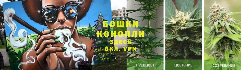 закладки  Таганрог  Каннабис OG Kush 